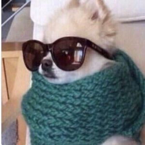 Meet your Posher, Megan